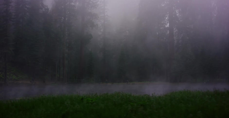 A slow pan across a mystical forest floor shows dense fog rolling across a misty pond and lush green meadow