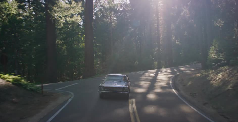 Aerial view of a classic muscle car driving along a winding forest road as sunlight filters through the tall trees