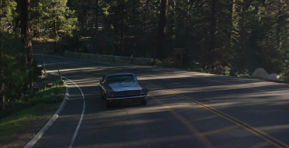A vintage Ford Mustang cruises down a sun-dappled, winding road through a lush green forest