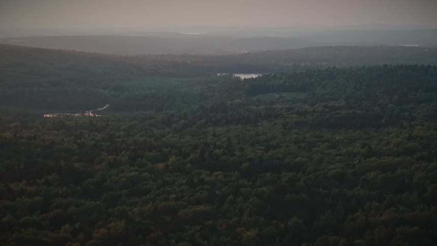 Expansive high-angle view of a lush green forest canopy stretching towards distant hazy mountains at sunset