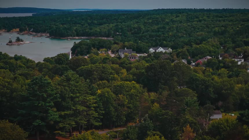 A scenic aerial shot pulls back over a lush green forest to reveal a charming coastal village and its harbor