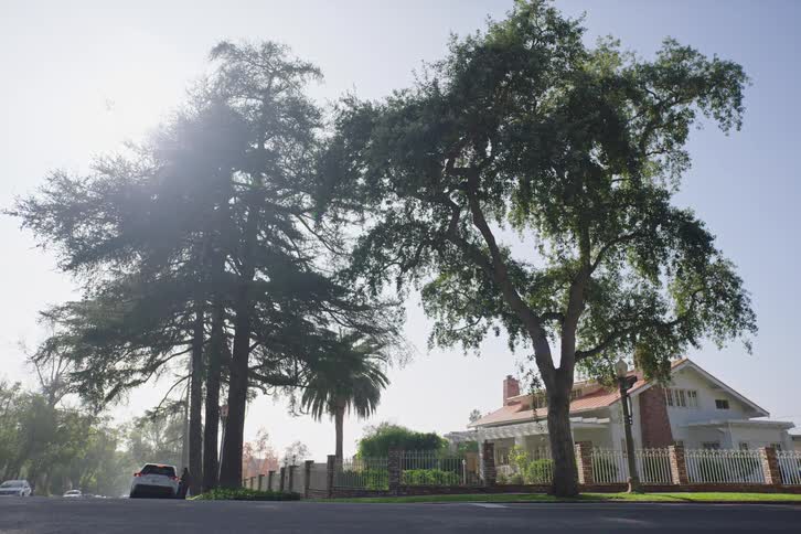 A man jogs down a quiet, tree-lined suburban street on a bright sunny morning