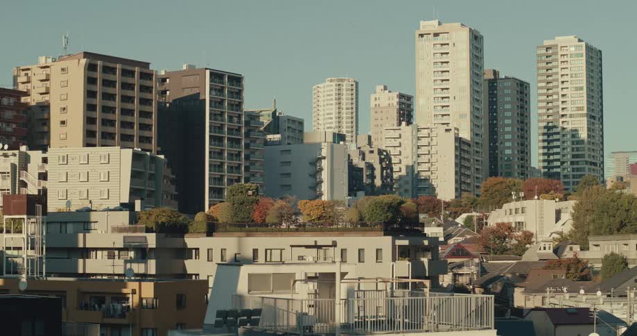 A static wide shot of a residential Tokyo cityscape with vibrant autumn trees nestled among the buildings on a clear day