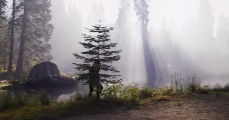 A traveler walks along a misty lakeside path as dramatic sunbeams filter through the foggy forest trees