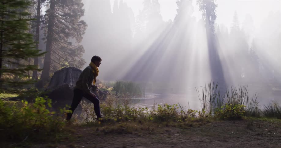 A hiker walks in slow motion along a misty lake in the forest, surrounded by magical sunbeams shining through the trees