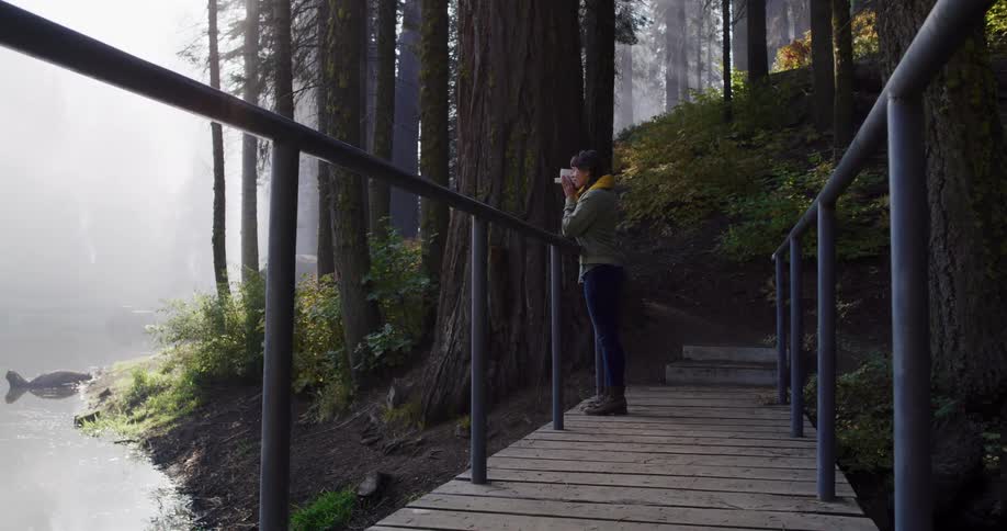 A woman stands on a wooden walkway in a misty redwood forest, sipping a warm drink while enjoying the serene morning view
