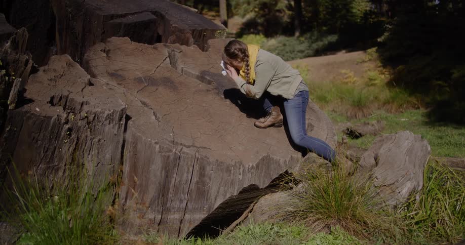 A sad young woman climbs onto a giant tree stump, wipes her eyes with a tissue, and takes an instant photo of the tree rings