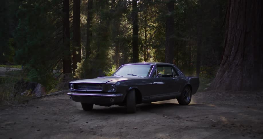A classic grey Ford Mustang parks on a dusty dirt road deep within a sunlit redwood forest