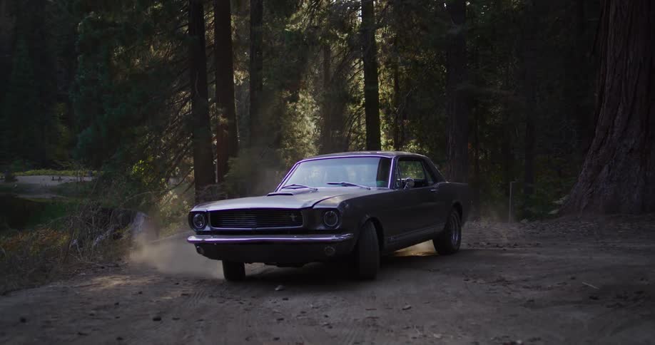A classic Ford Mustang kicks up dust as it comes to a stop on a dirt road in a sunlit redwood forest
