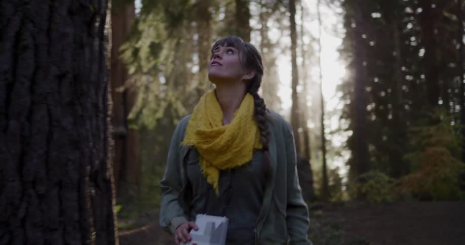 A woman with a yellow scarf and a camera walks through a sunlit forest, gazing up in awe at the majestic trees