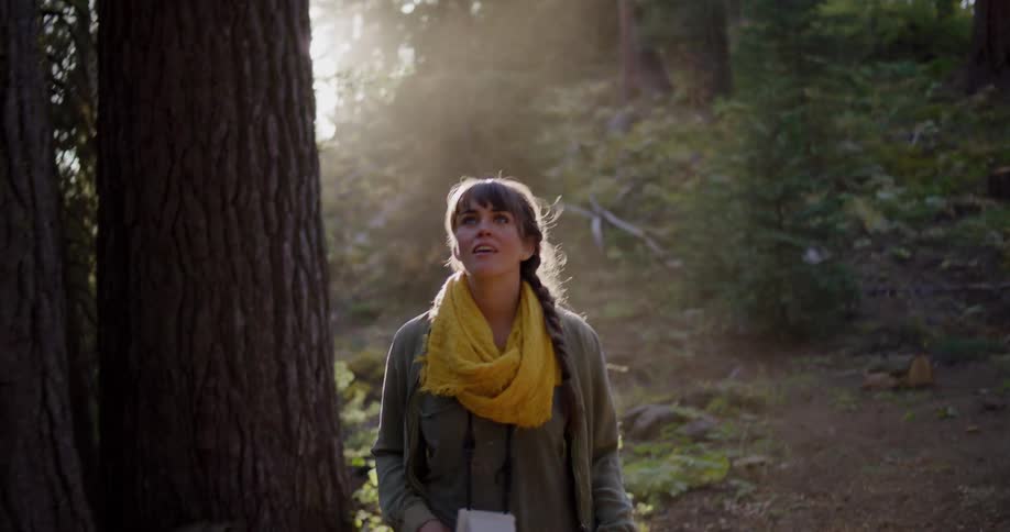 A woman with a vintage camera walks in slow motion through a sun-drenched forest, looking up at the trees with a sense of wonder