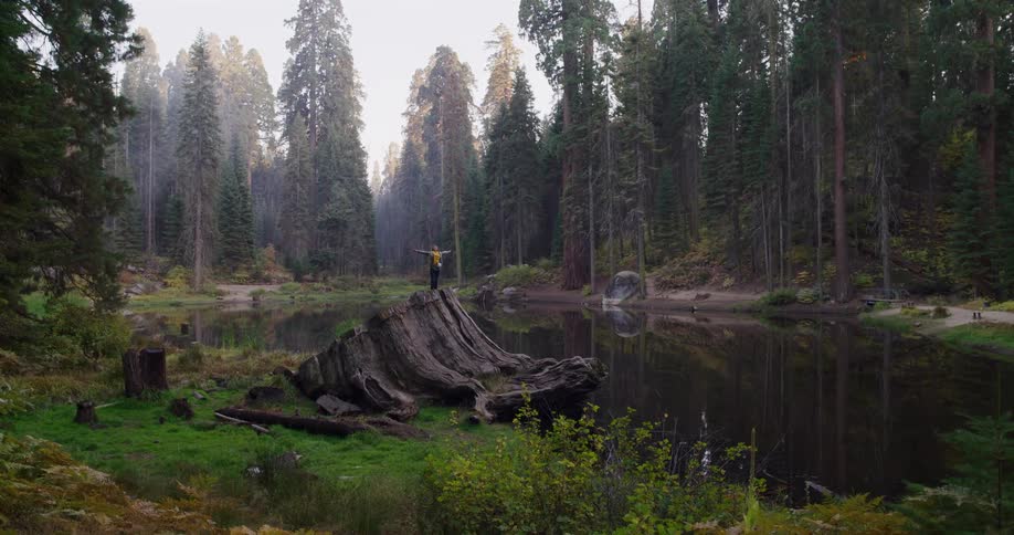 A hiker stands with arms outstretched on a massive tree stump by a calm lake, surrounded by giant sequoia trees in a misty forest