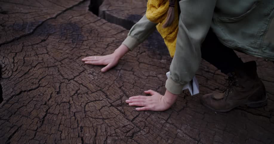 A woman in hiking boots crouches down to feel the rough, weathered texture of a massive, ancient tree stump