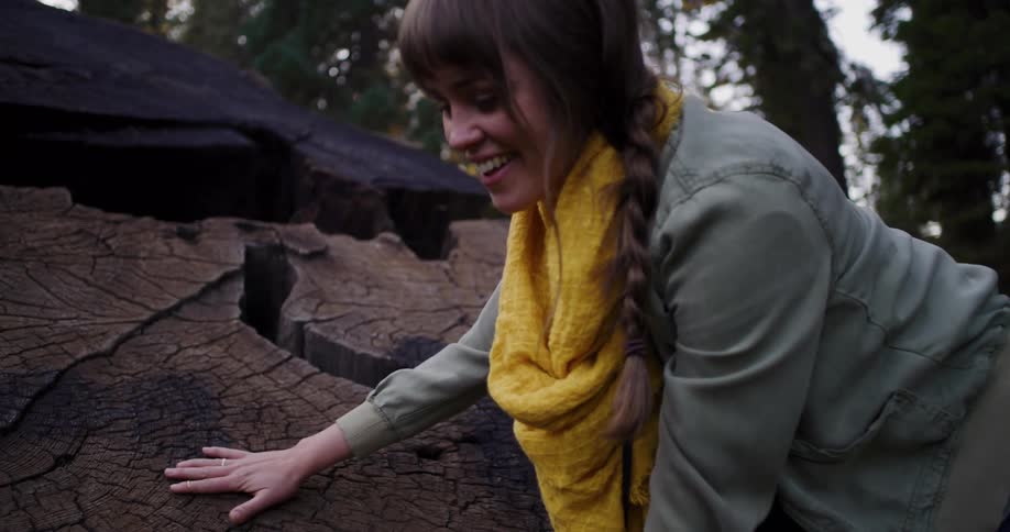 A smiling woman gently touches the weathered surface of a giant, ancient tree stump in a forest