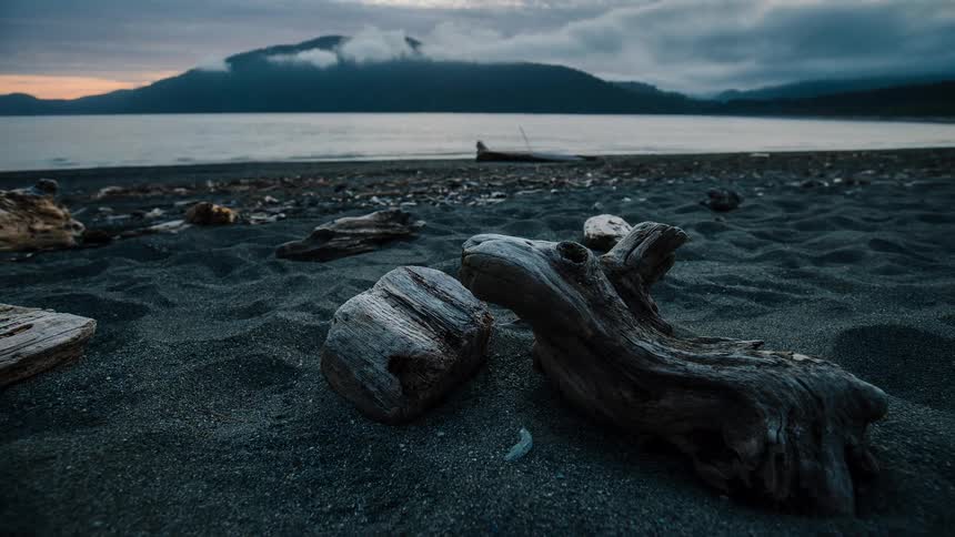A slow, atmospheric dolly shot pulls back from driftwood on a dark sand beach, revealing a calm ocean and misty mountains at dusk