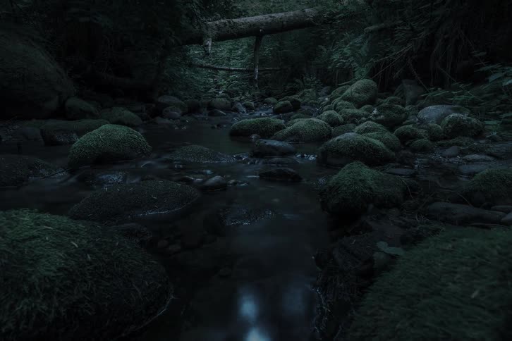 A dark and moody timelapse reveals a mystical stream flowing over mossy stones deep within a forest at night