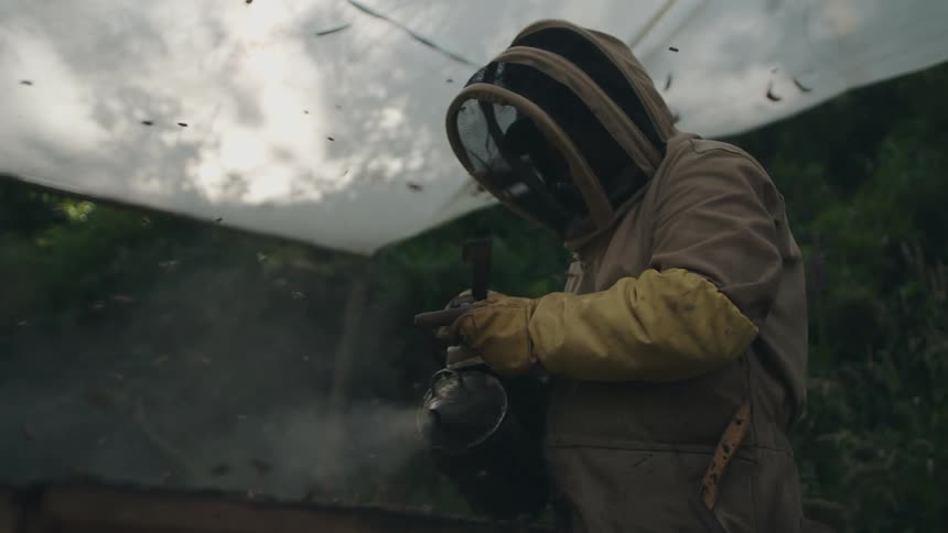 A beekeeper in a protective suit uses a bee smoker to calm a bustling hive in moody, atmospheric slow motion
