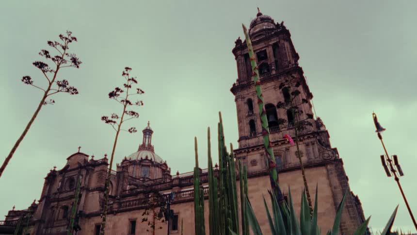 A low-angle upward tilt reveals the historic Mexico City Metropolitan Cathedral behind a garden of agave plants on a cloudy day