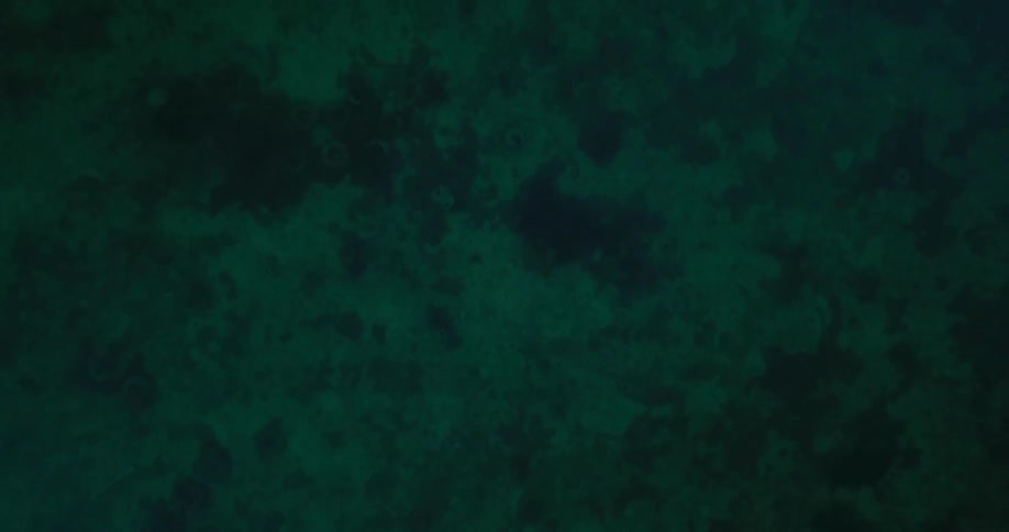 Ocean water is shown below