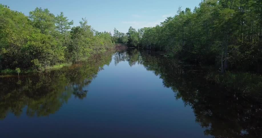 A calm lake is surrounded by trees