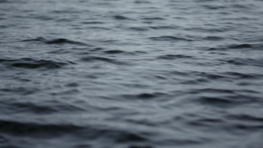 A close-up view of dark water gently rippling on a calm day