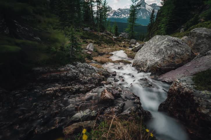 A long exposure timelapse captures a pristine mountain stream flowing through a rocky forest as sunlight breaks over distant snow-capped peaks