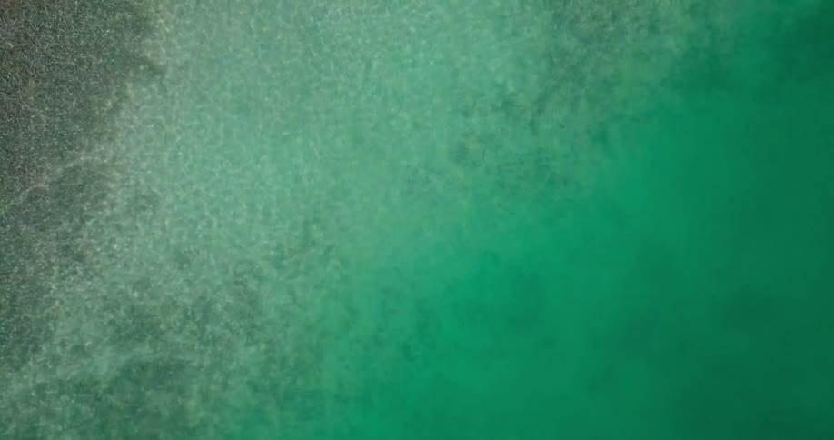 The green water has lots of bubbles in it