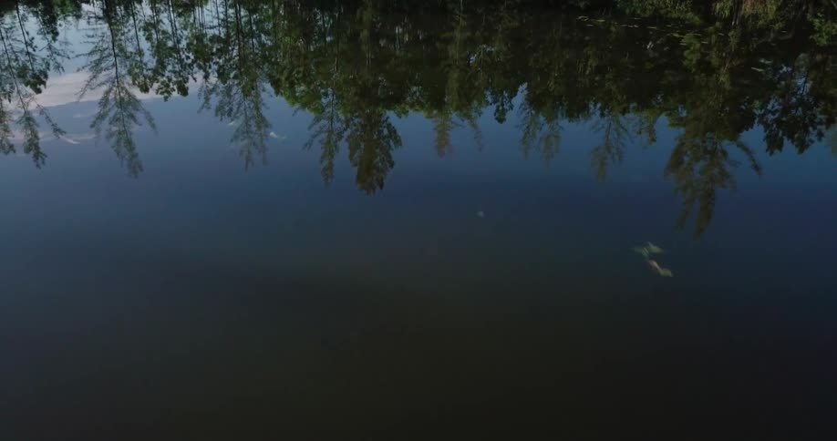 The water is reflecting the trees on the shore