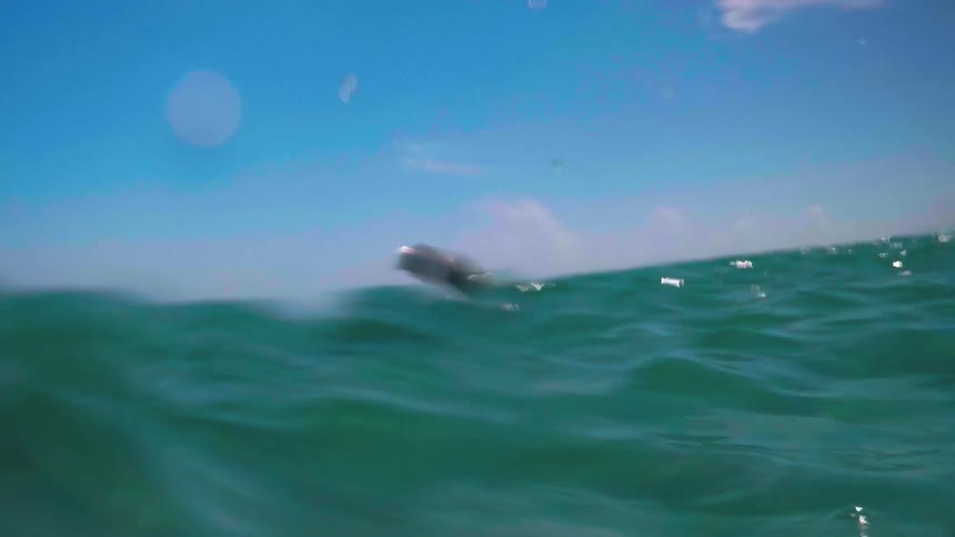 Ocean waves splash around a swimming person