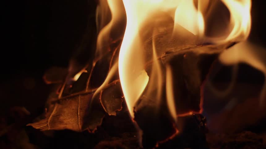 A fire burns a large leaf