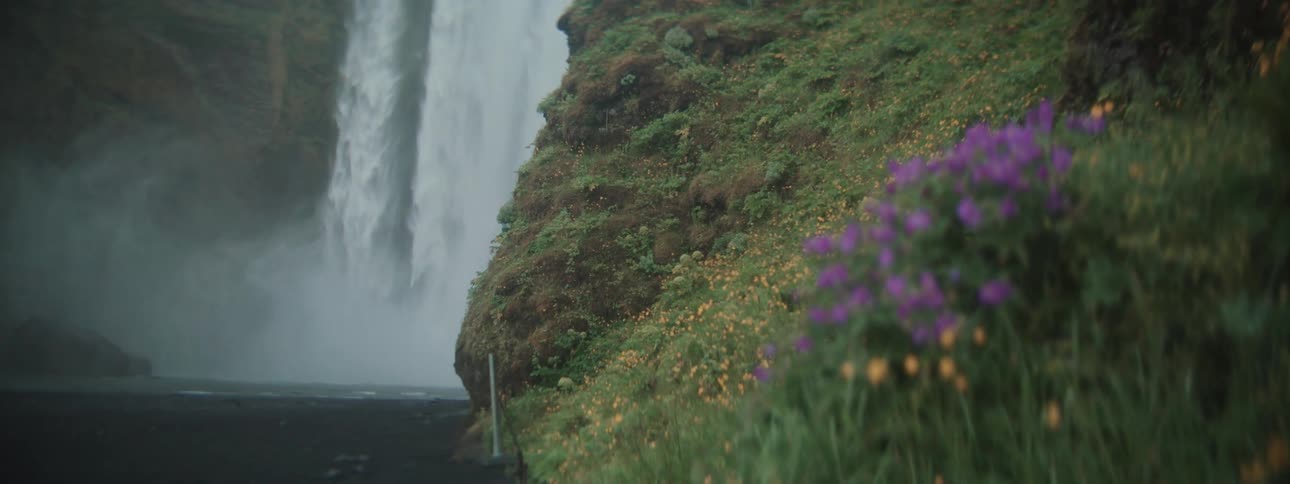 A powerful waterfall thunders in the background behind a serene, mossy cliffside covered in colorful wildflowers
