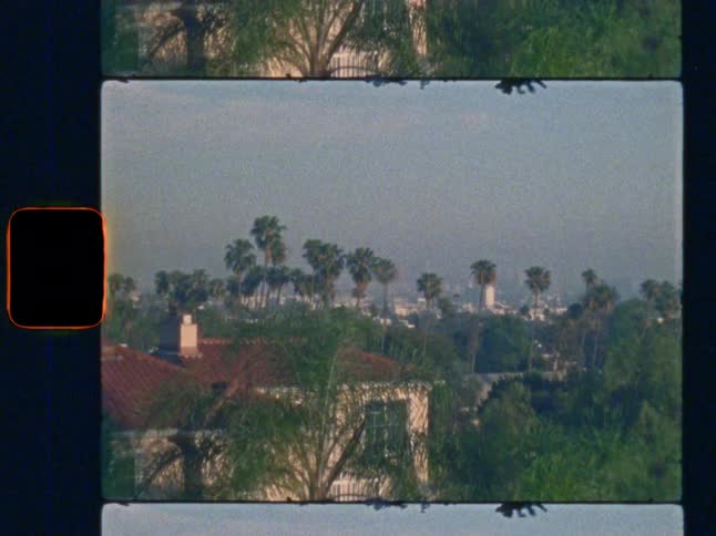 Zooming in on Hollywood palm trees, on Super 8