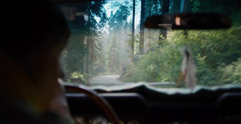 Person drives a vintage car through a lush, sunny forest on a winding road