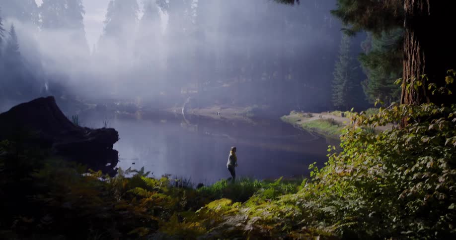 A lone hiker walks along the shore of a tranquil, misty lake in a lush forest as beautiful sun rays pierce through the fog