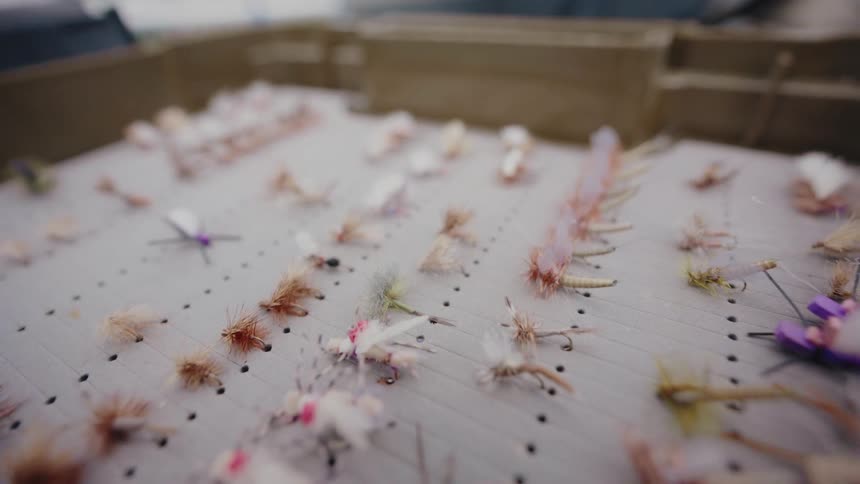 A slow pan reveals a diverse collection of colorful artificial flies neatly arranged in a fly fishing tackle box