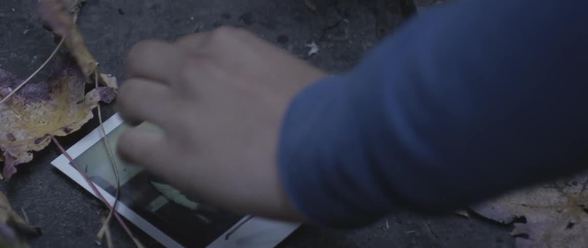 Man picks up a polaroid picture that is surrounded by leaves