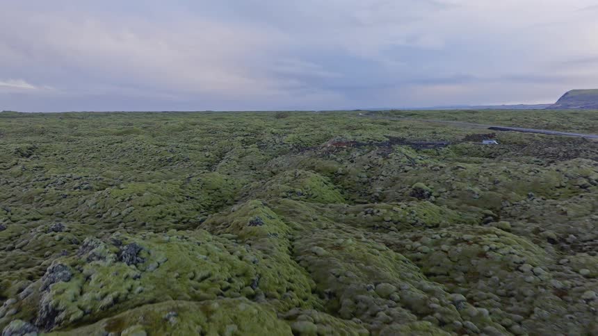 An aerial view slowly pulls back over a vast, ancient lava field covered in vibrant green moss under a cloudy Icelandic sky