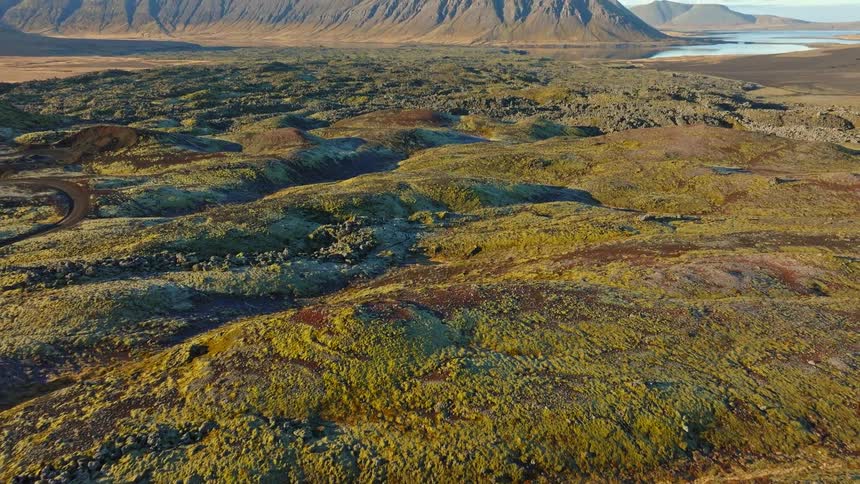 A slow aerial pullback reveals a vast and rugged Icelandic landscape, where vibrant moss covers ancient lava fields under a clear morning sky