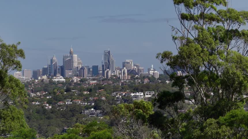 An expansive view of the Sydney, Australia city skyline is revealed through a slow zoom out from behind a canopy of green trees