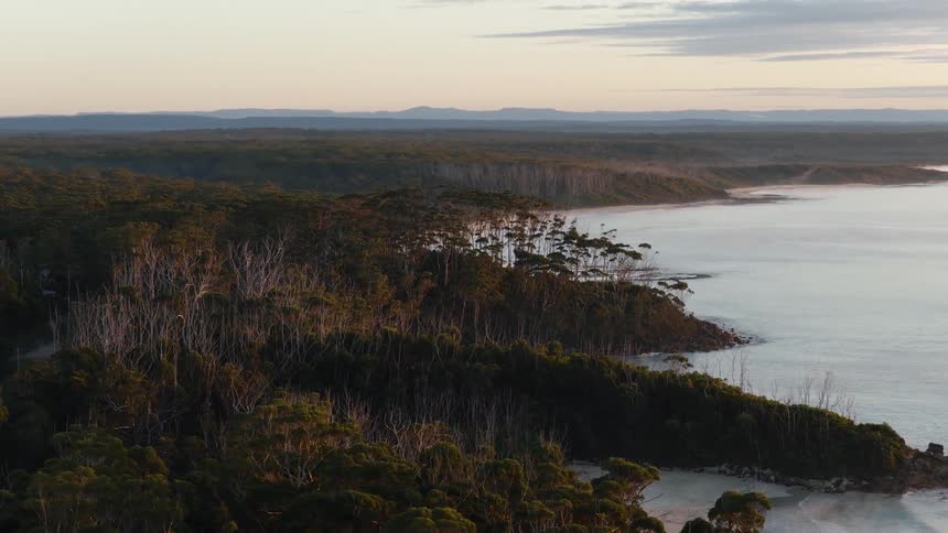 The golden light of sunrise illuminates a vast, tranquil forest as it meets the calm ocean along a rugged coastline