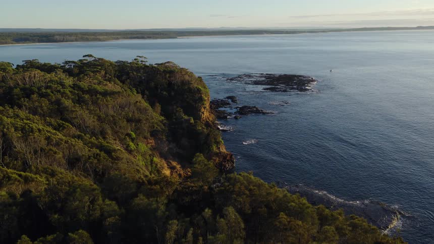 A stunning static aerial shot of a dense green forest on a cliffside meeting the calm blue ocean at sunrise