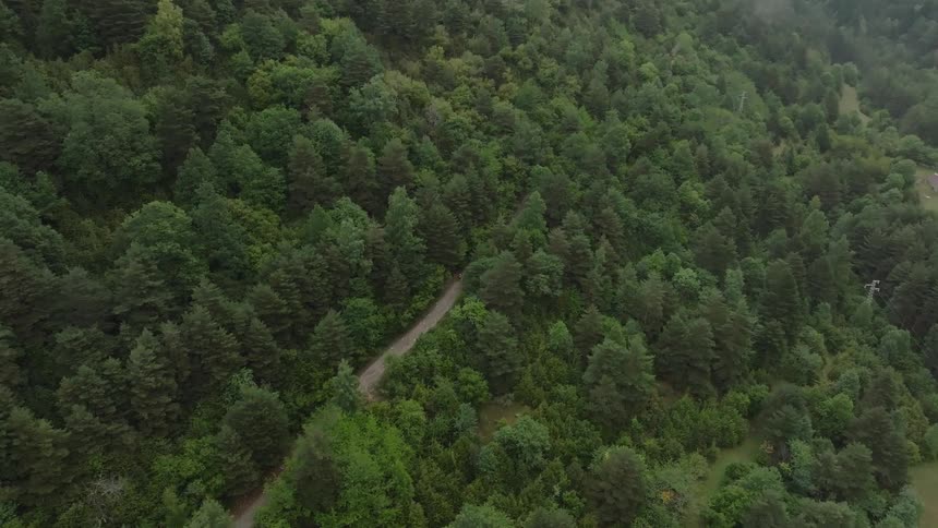 A static high-angle aerial view of a winding dirt road through a lush, dense green forest on a mountainside