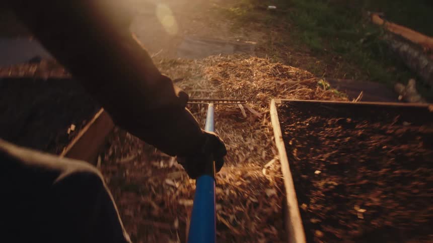 First-person perspective of raking wood chips between raised garden beds in the warm glow of the setting sun