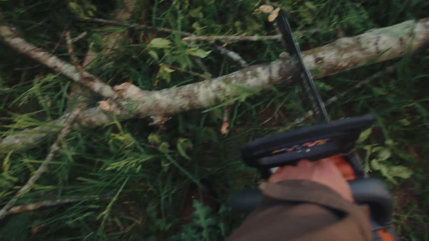 A first-person perspective of a person starting a chainsaw and cutting a fallen tree branch on the ground