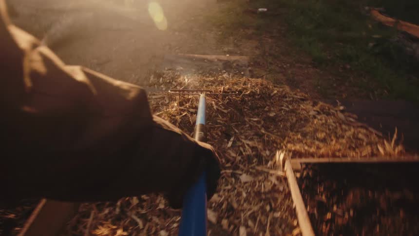 First-person perspective of a gardener raking wood chip mulch between raised garden beds in the warm evening sun