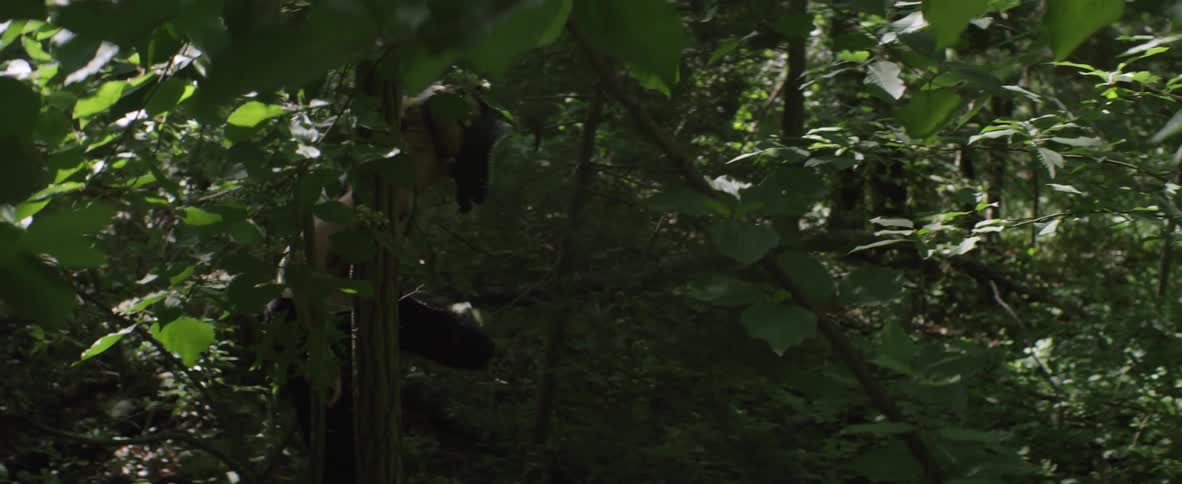 A woman pushes past some trees in the forest