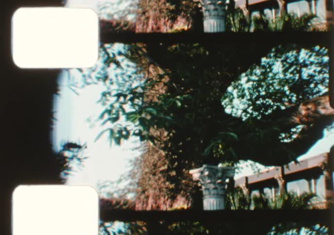 Vintage 8mm home movie footage captures a family's visit to an ornate, sun-drenched botanical garden in the 1970s