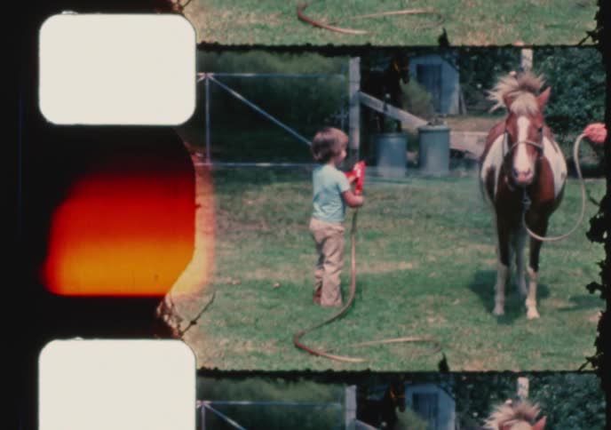 Charming archival footage of a toddler helping an adult wash a small pony with a garden hose in a grassy yard