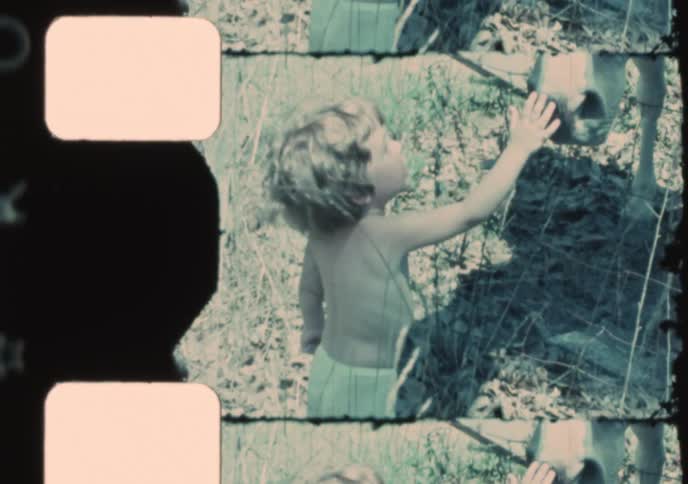 A cute toddler gently touches a horse's nose through a fence in a nostalgic, vintage 8mm home movie