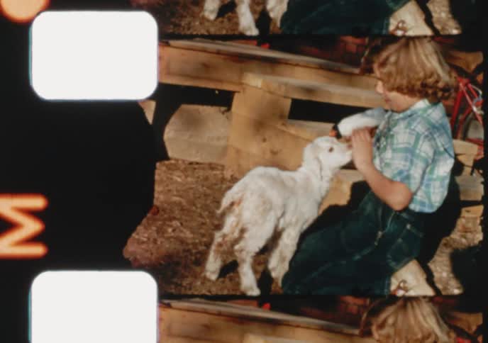 A vintage 8mm film captures a tender moment as a young person kneels to bottle-feed a small white baby goat
